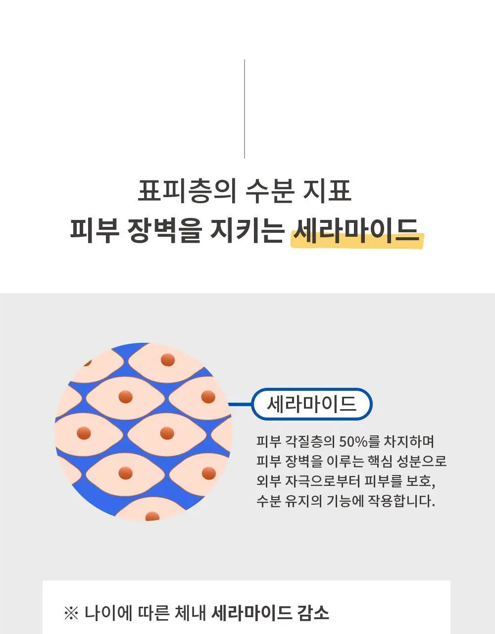 [올영단독] 레놉티 시너업콜라겐 7포 (7일분) 상세페이지 56